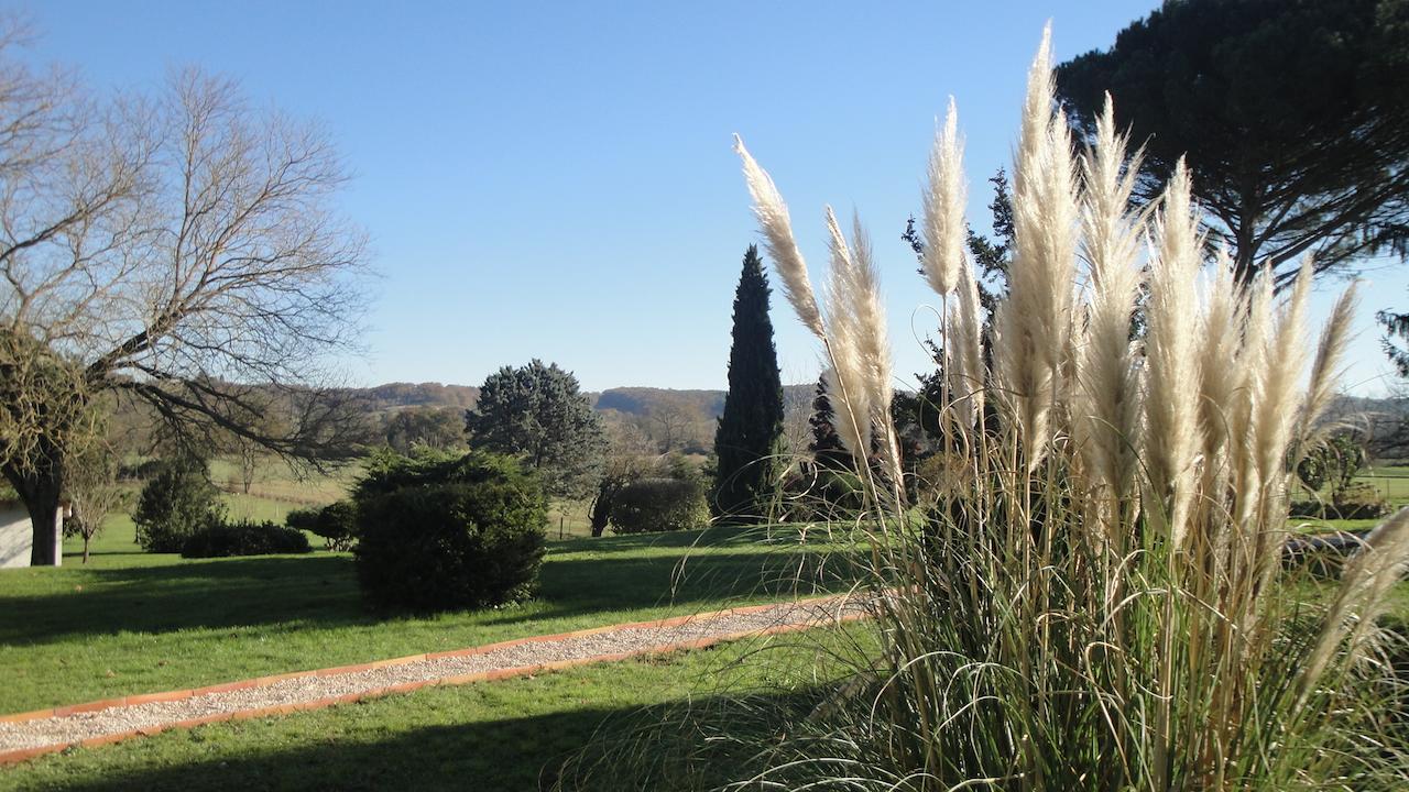 Auterive  Domaine De Poudos B&B 외부 사진