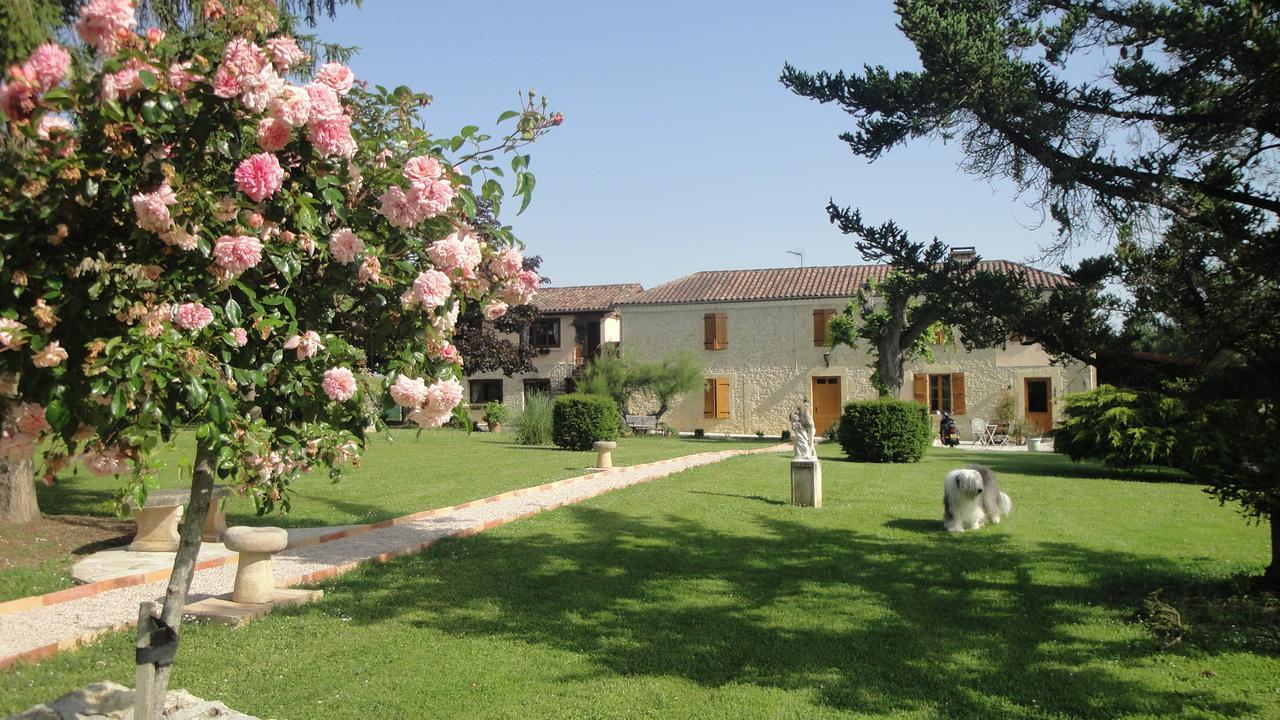 Auterive  Domaine De Poudos B&B 외부 사진